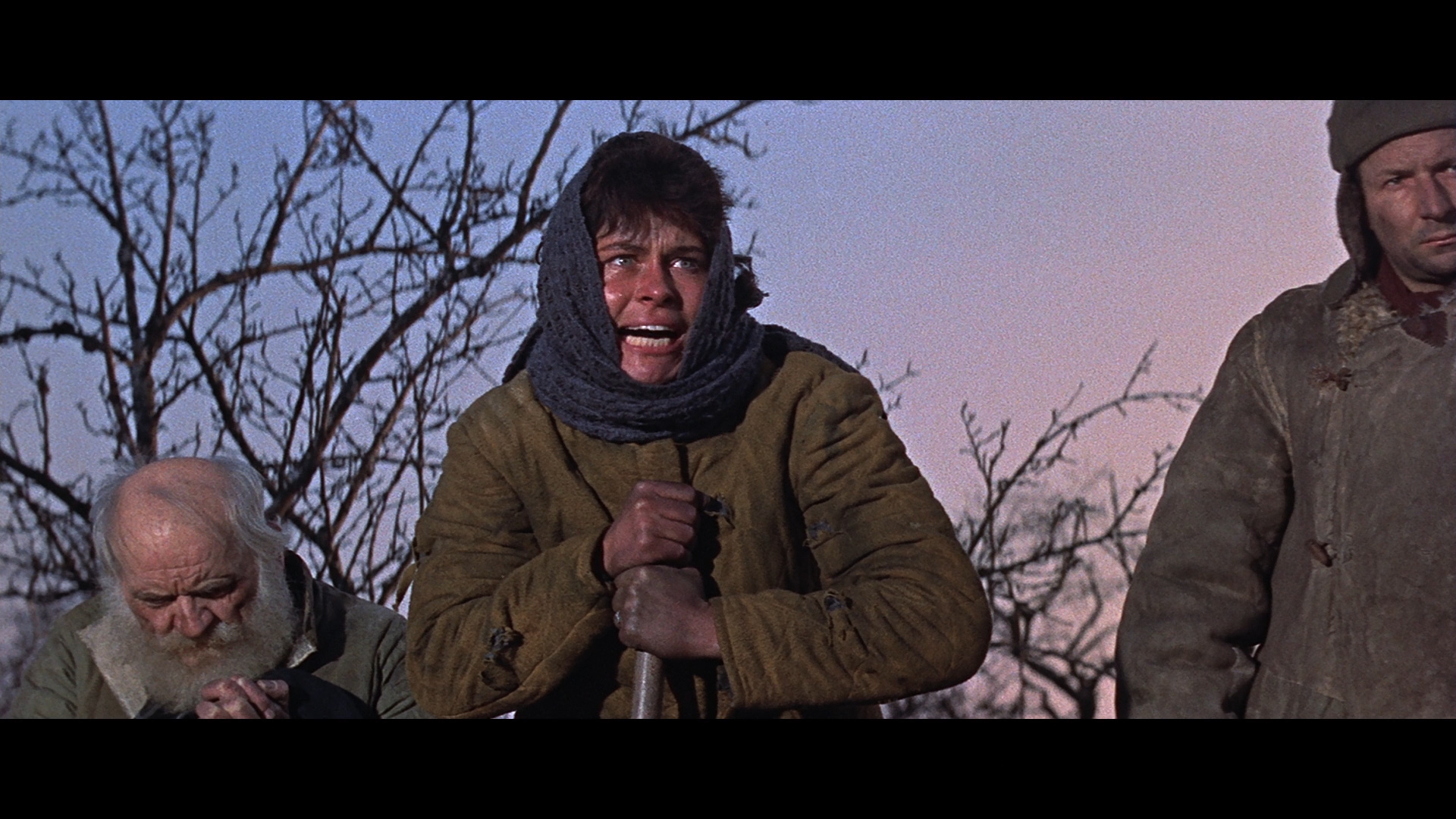 无情战地有情天剧照的剧照