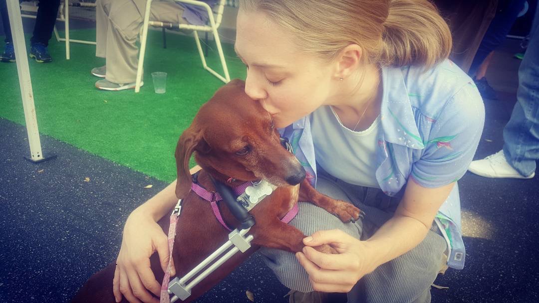 电视拍手者剧照的剧照