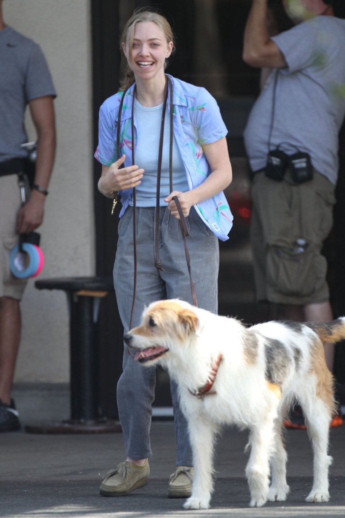 电视拍手者剧照的剧照