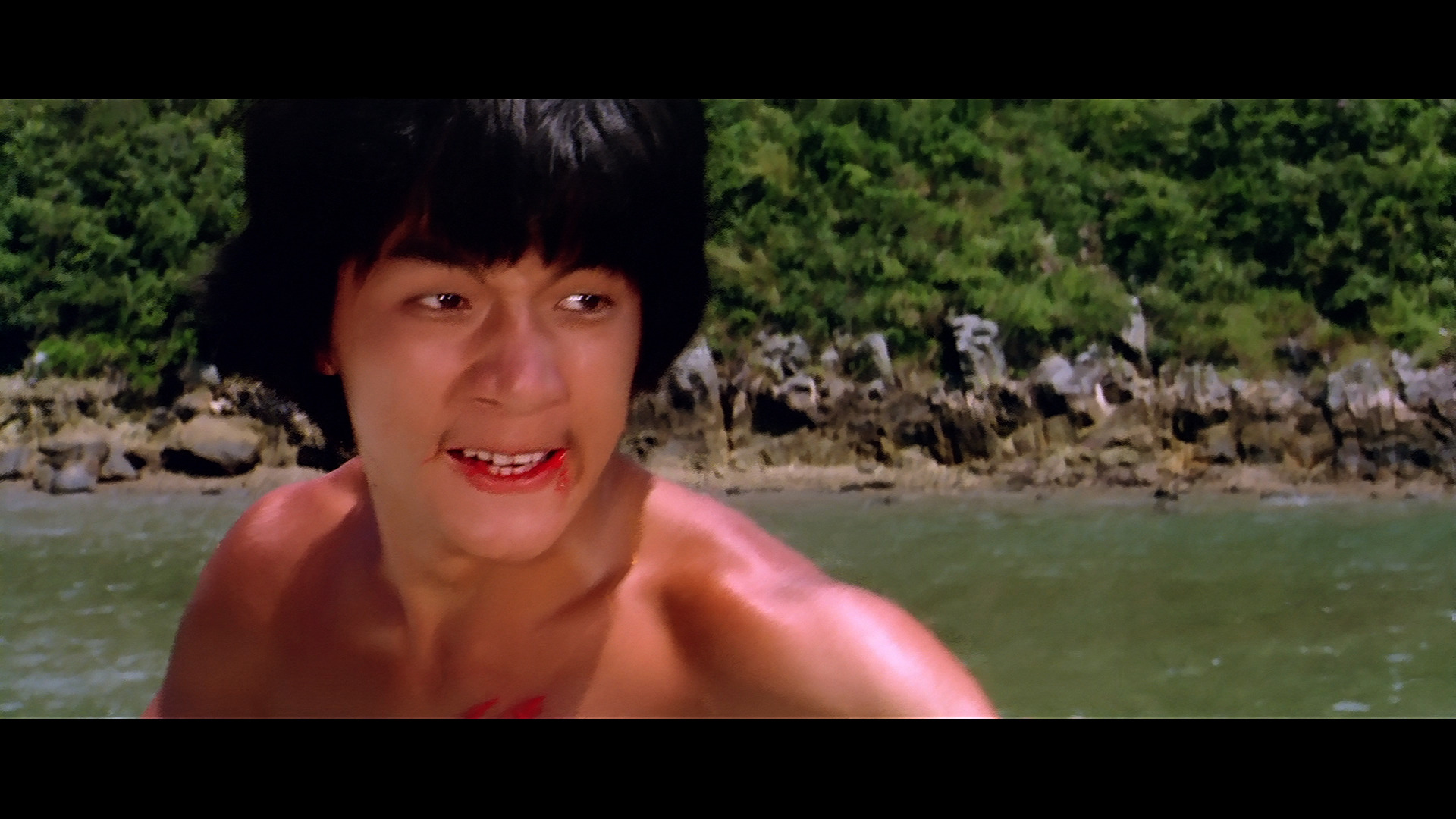 广东小老虎剧照的剧照