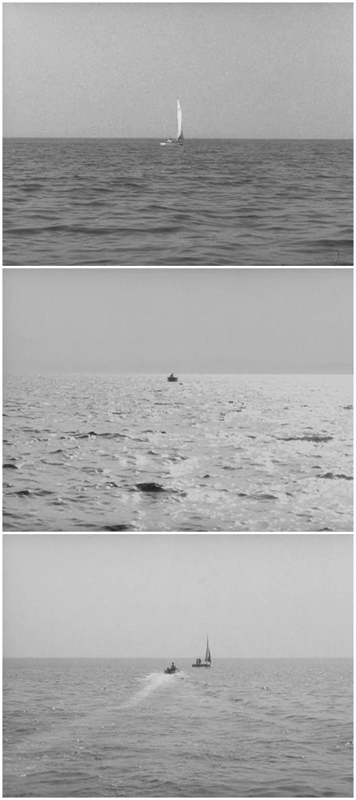 疯狂的果实剧照的剧照