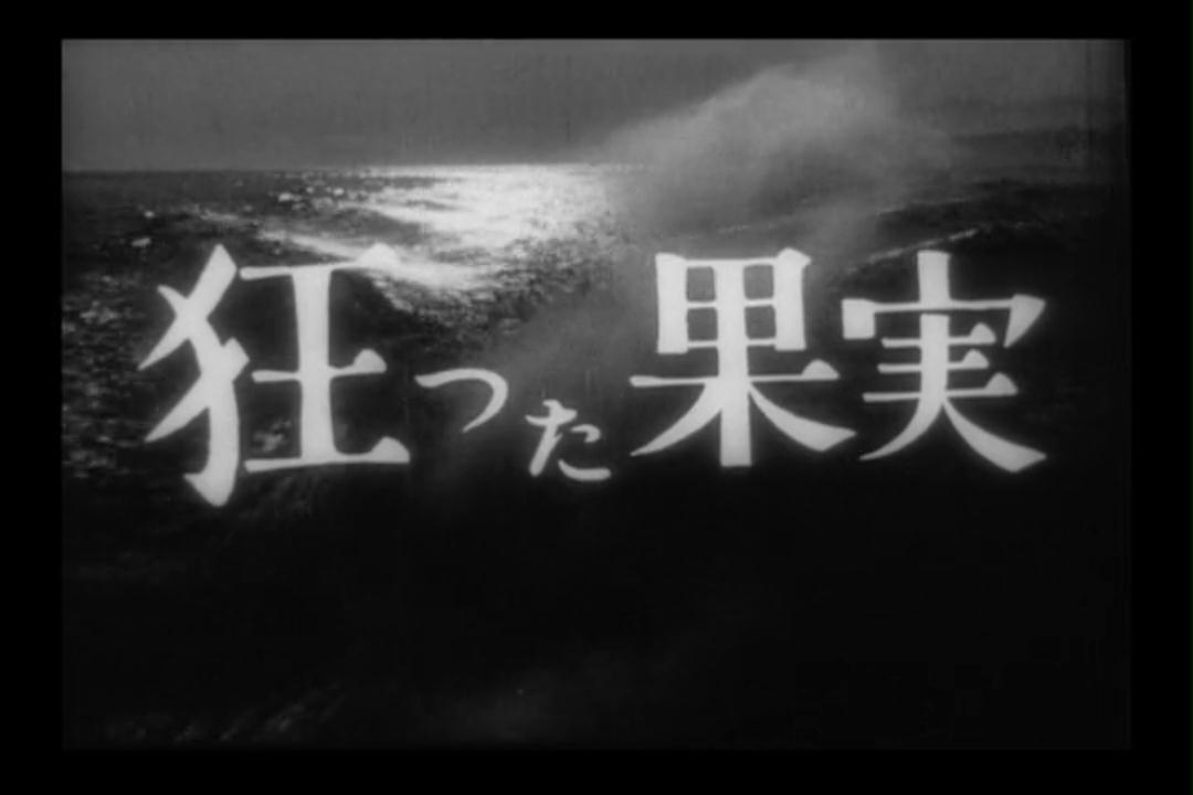 疯狂的果实剧照的剧照