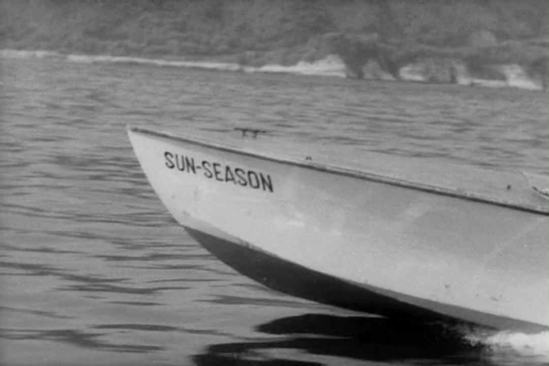 疯狂的果实剧照的剧照