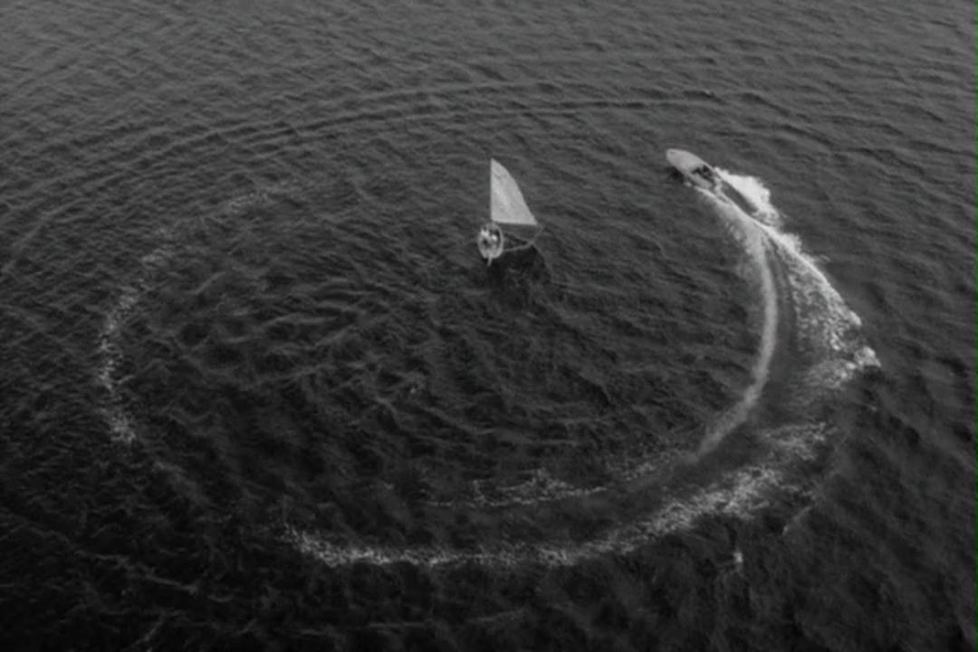 疯狂的果实剧照的剧照