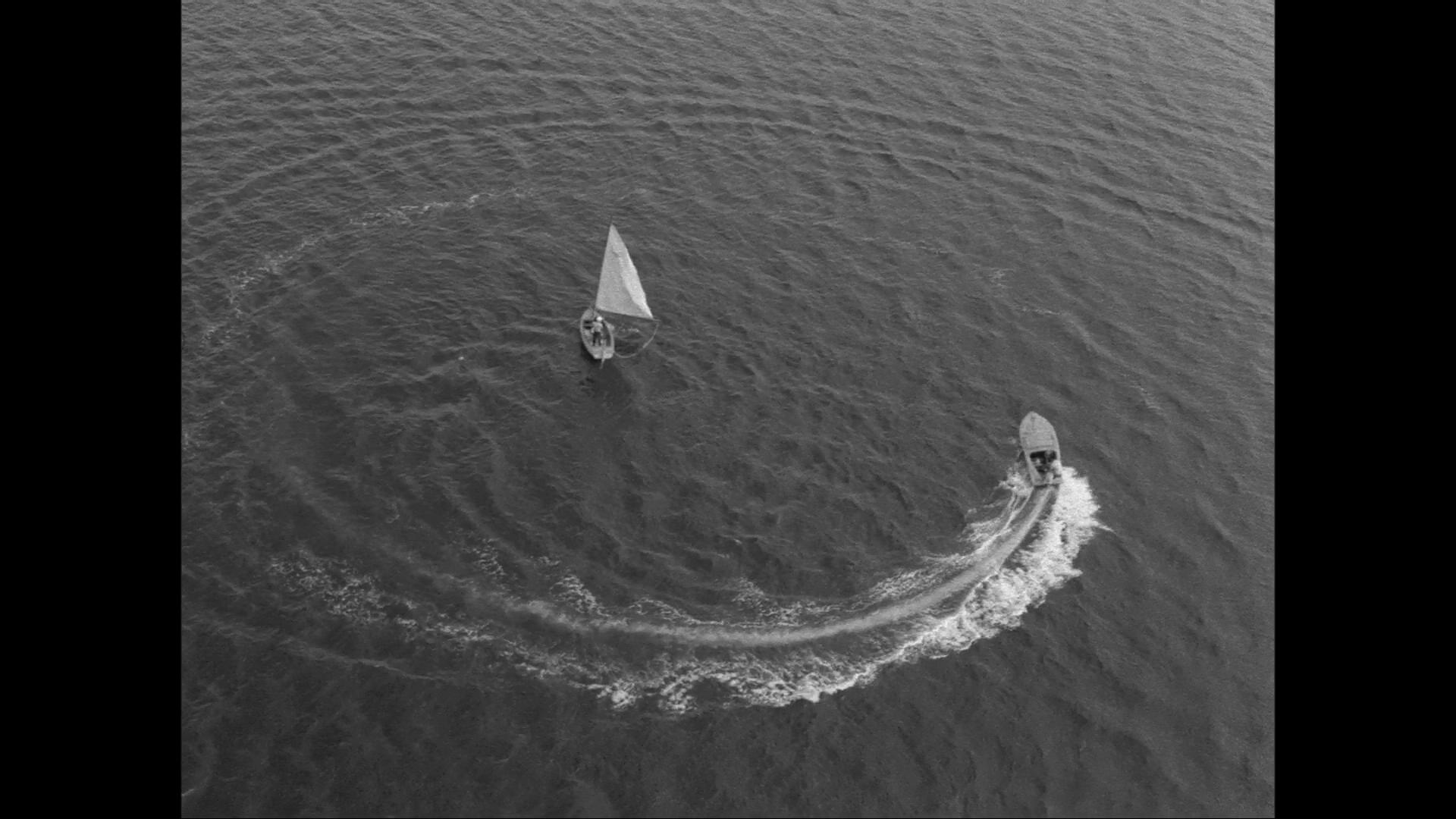 疯狂的果实剧照的剧照