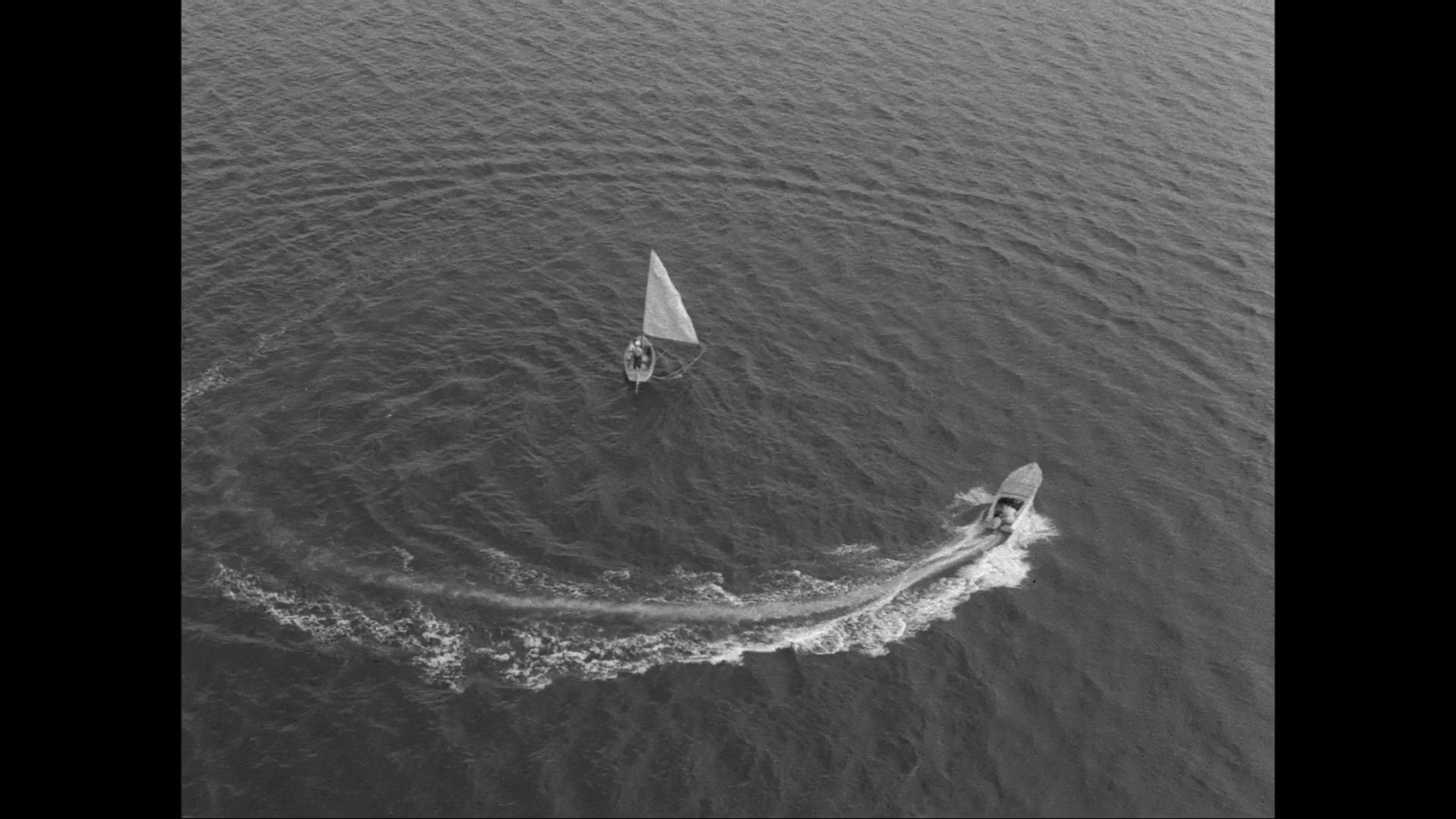 疯狂的果实剧照的剧照