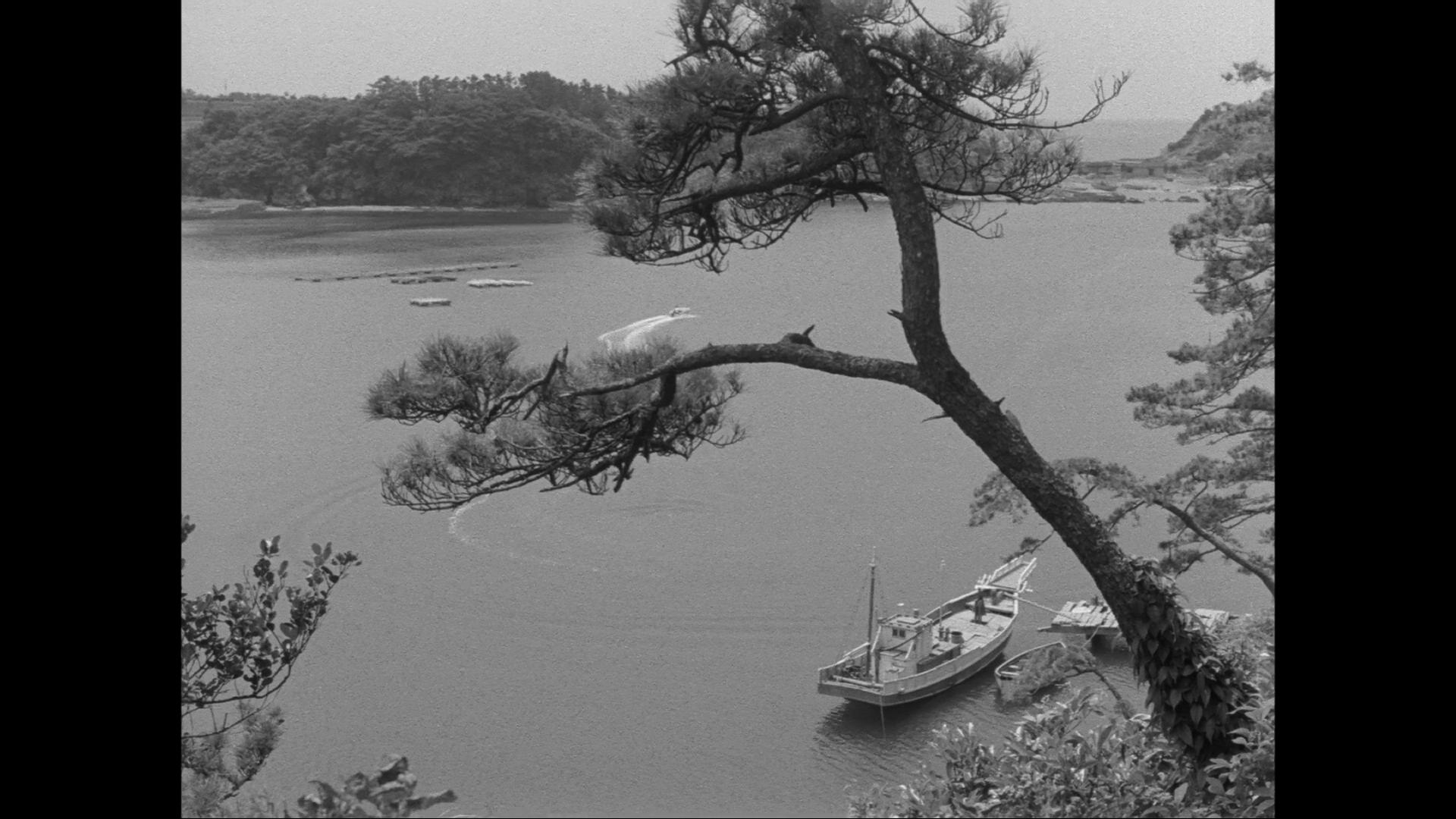 疯狂的果实剧照的剧照