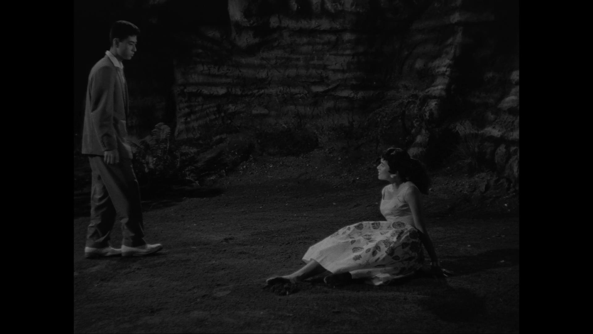 疯狂的果实剧照的剧照