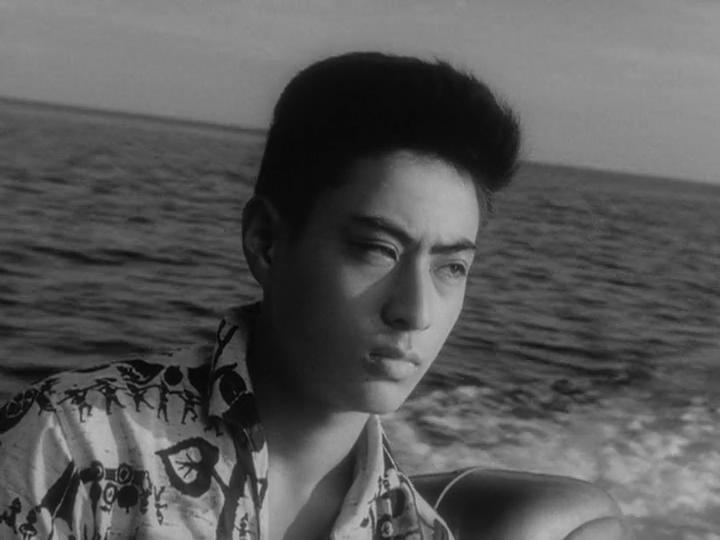 疯狂的果实剧照的剧照