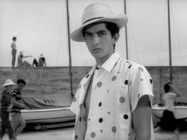 疯狂的果实剧照的剧照