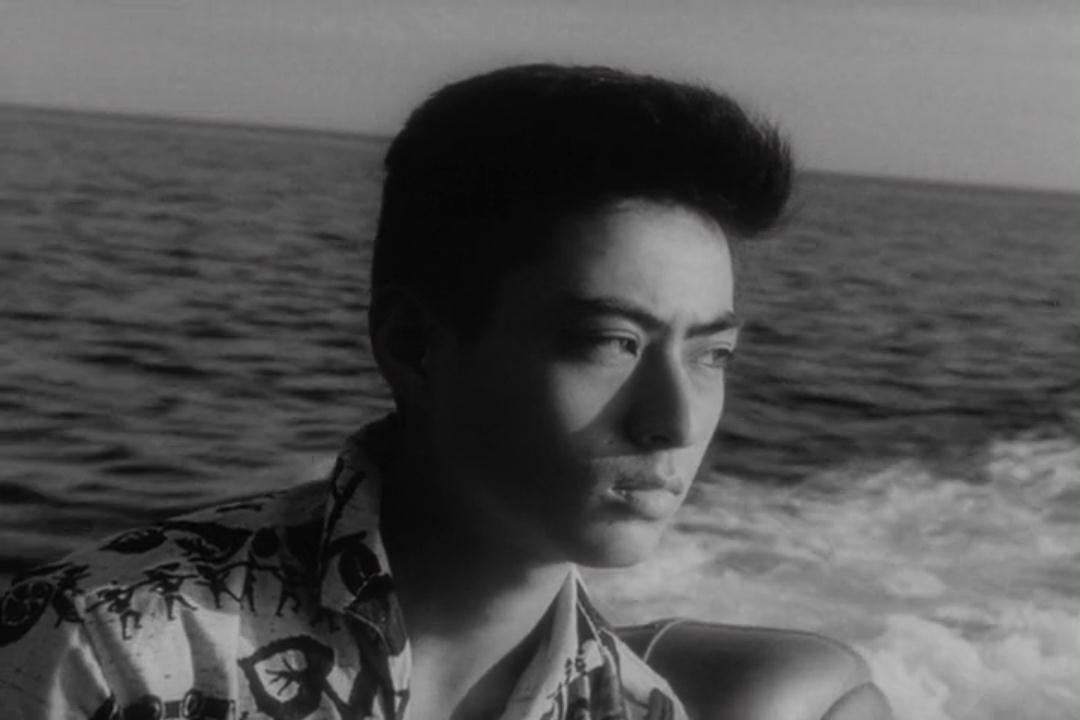 疯狂的果实剧照的剧照