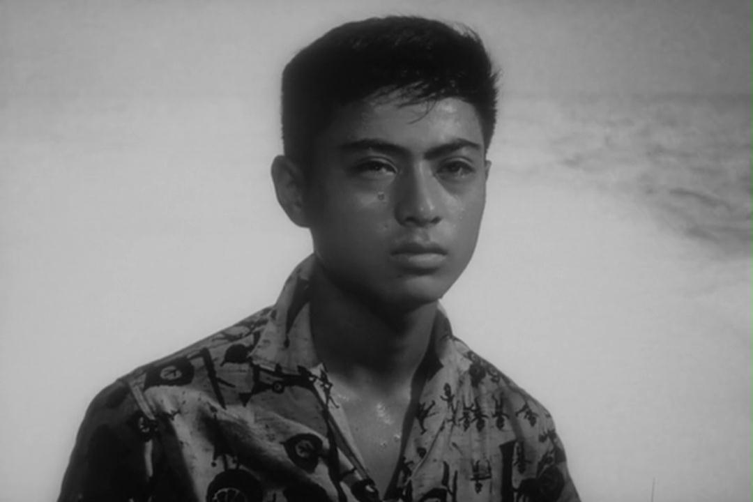 疯狂的果实剧照的剧照