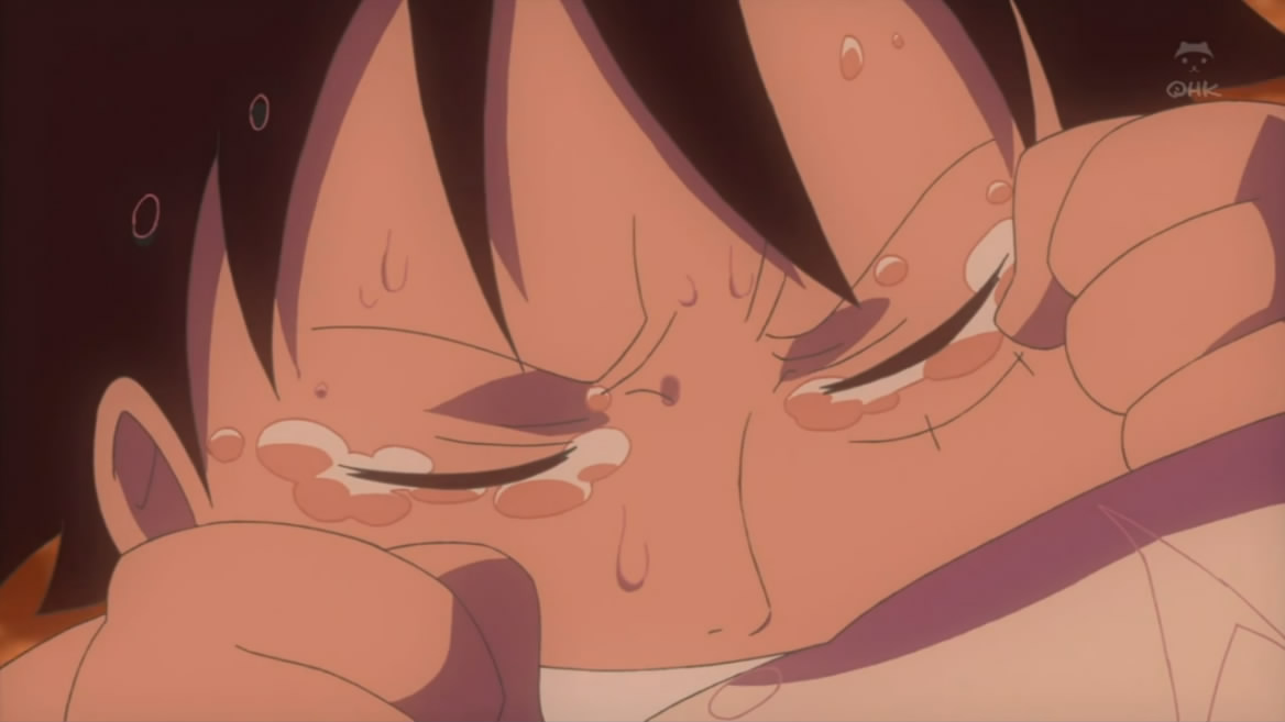 海贼王路飞篇：手掌岛的冒险剧照的剧照