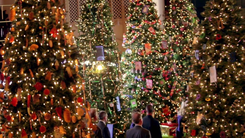 十二棵圣诞树剧照的剧照