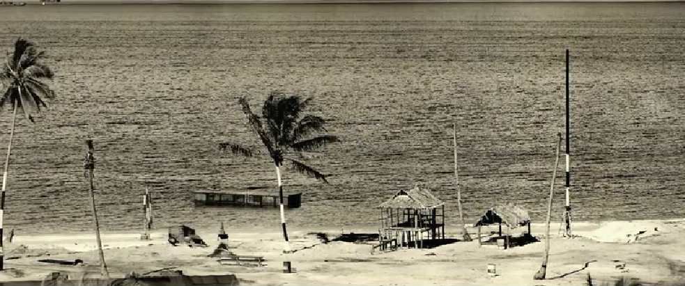 末日灾难剧照的剧照