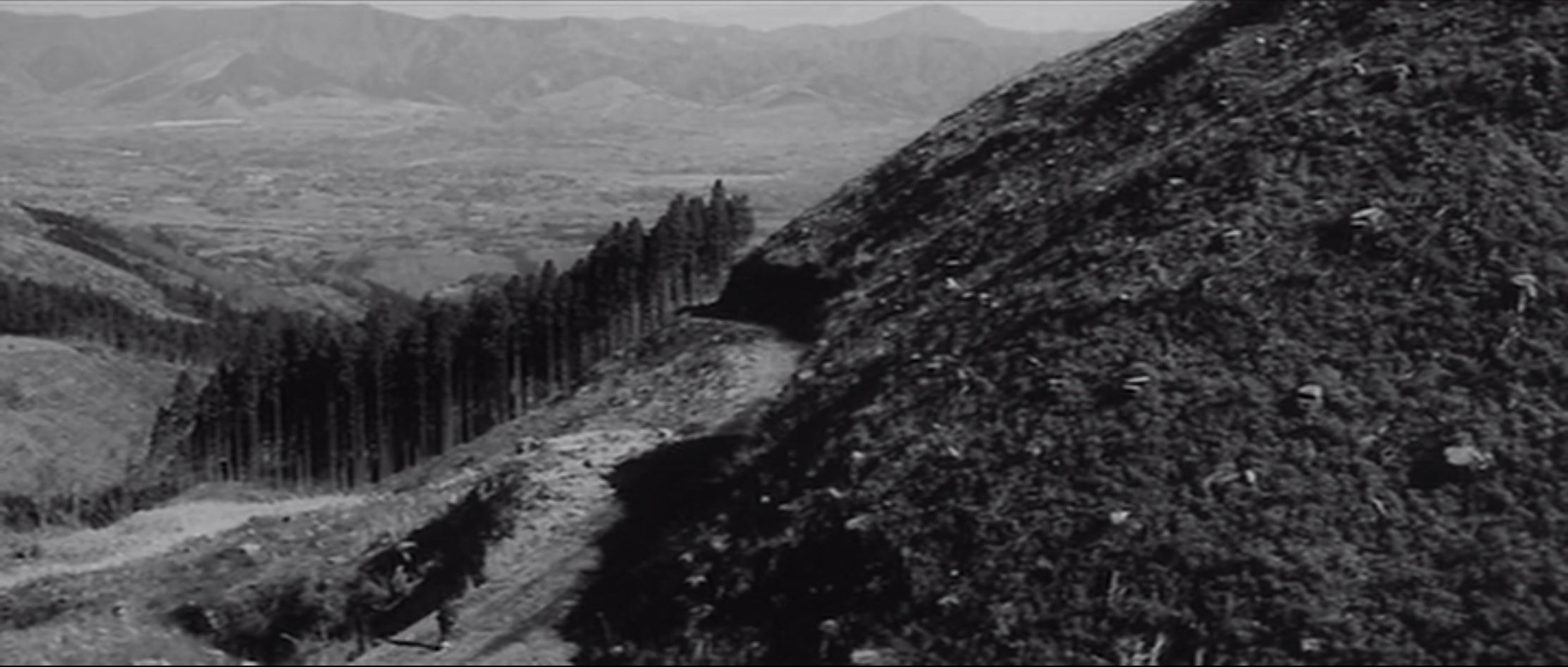 夺命剑剧照的剧照