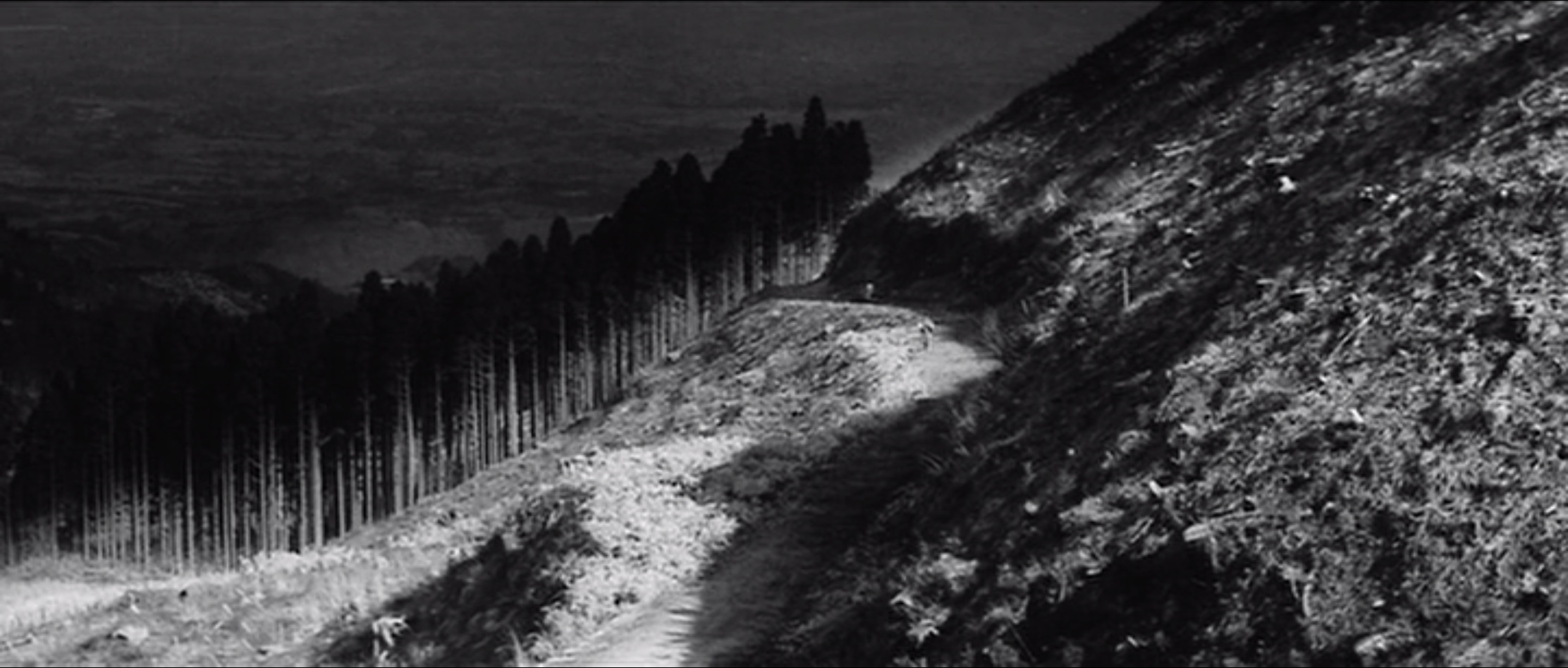 夺命剑剧照的剧照