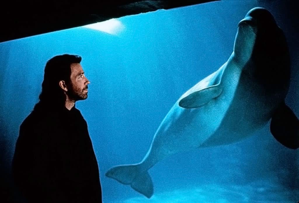 魔鬼战警剧照的剧照