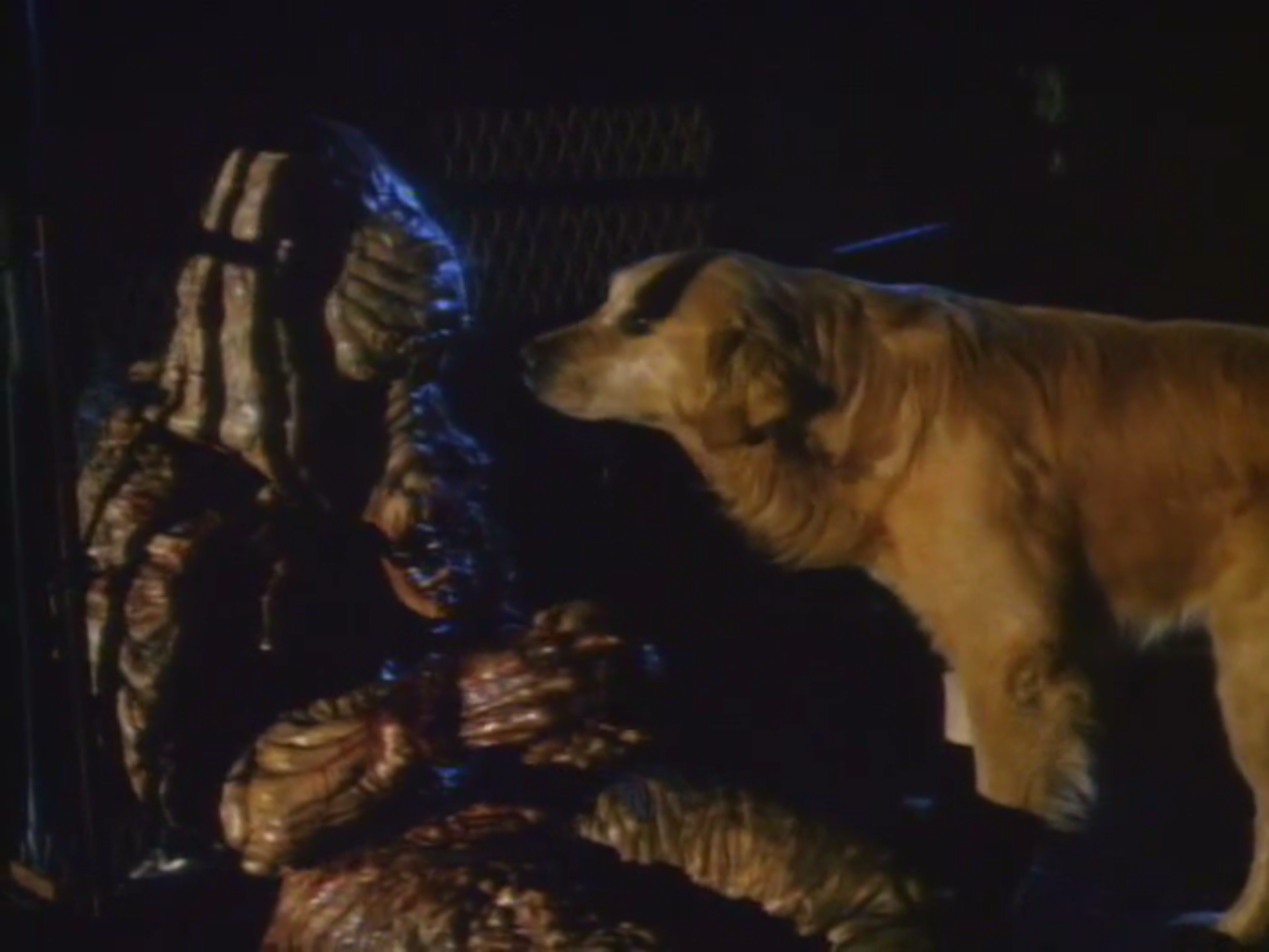 在地球染血2剧照的剧照