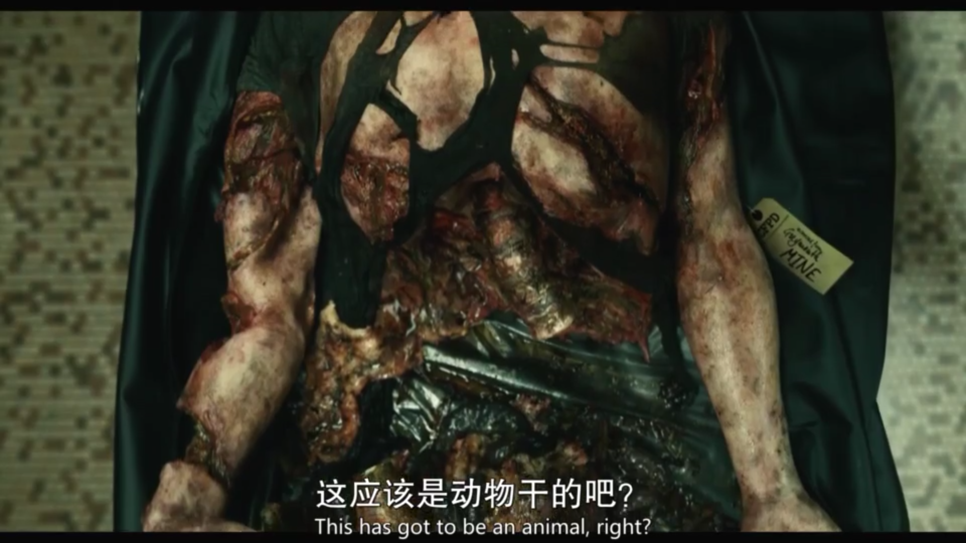 鹿角剧照的剧照