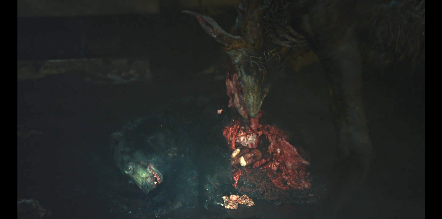 鹿角剧照的剧照