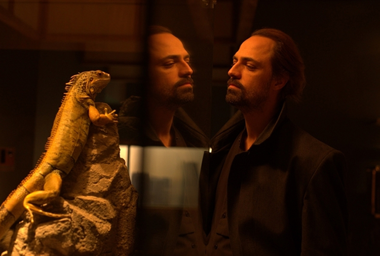 东京鬣蜥剧照的剧照