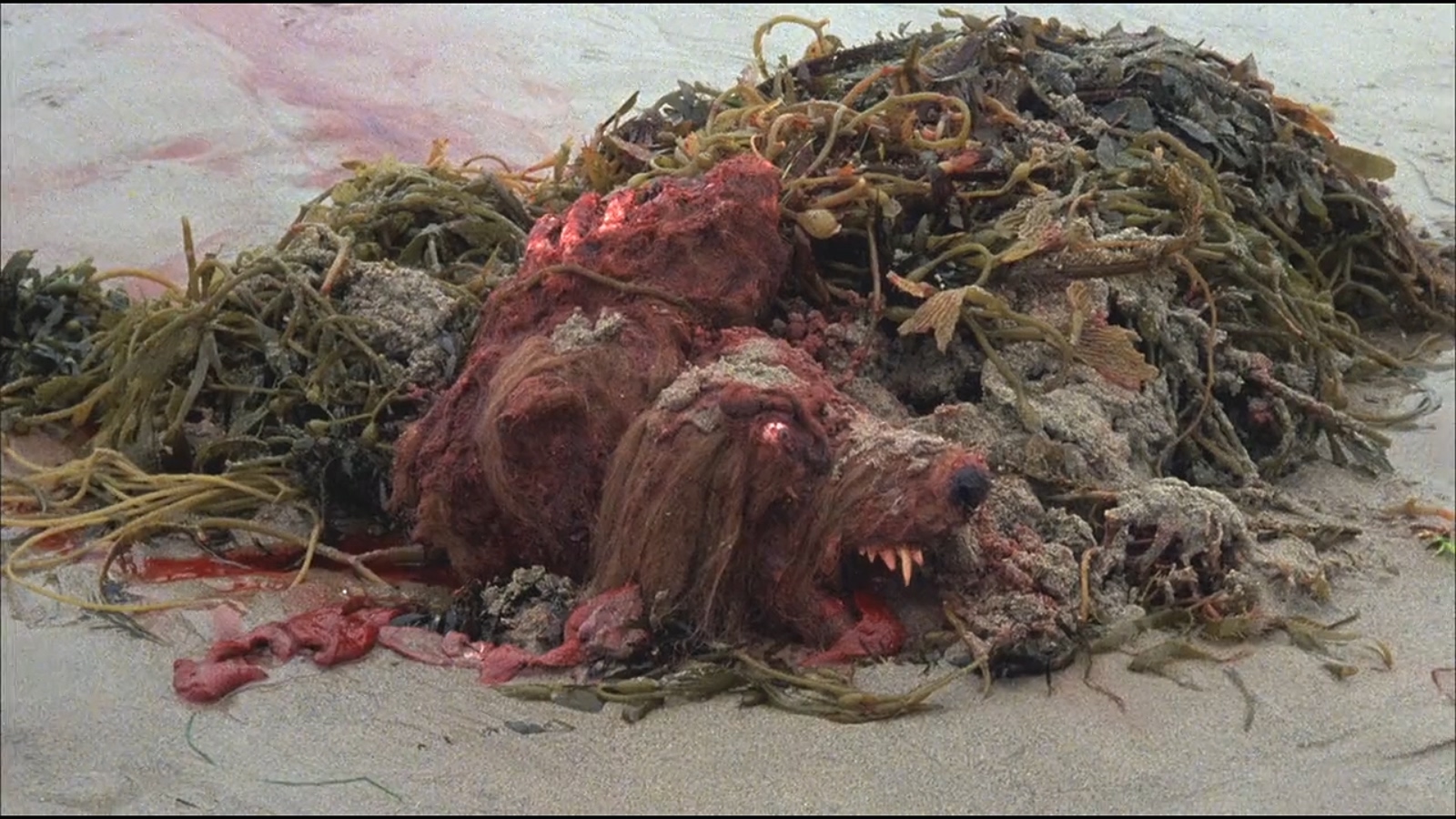 凶煞鱼怪剧照的剧照