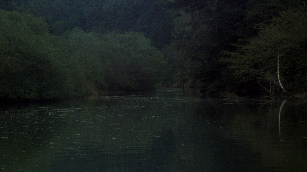 凶煞鱼怪剧照的剧照