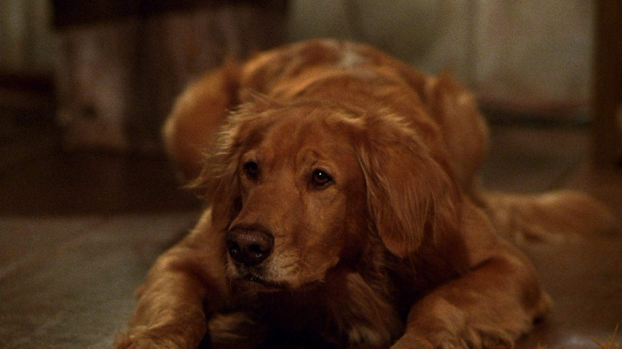 凶煞鱼怪剧照的剧照