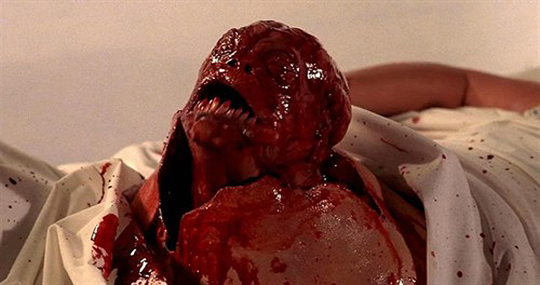 凶煞鱼怪剧照的剧照