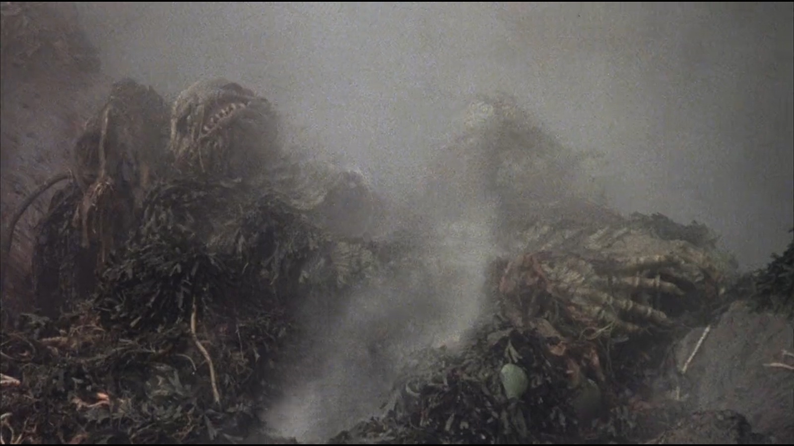 凶煞鱼怪剧照的剧照