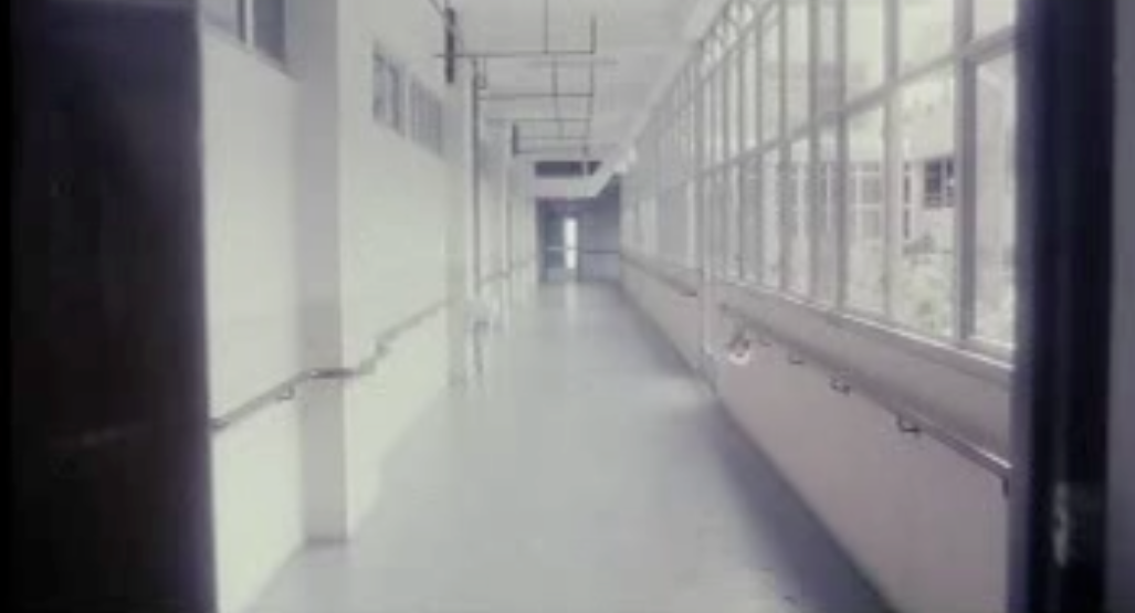 新房客剧照的剧照