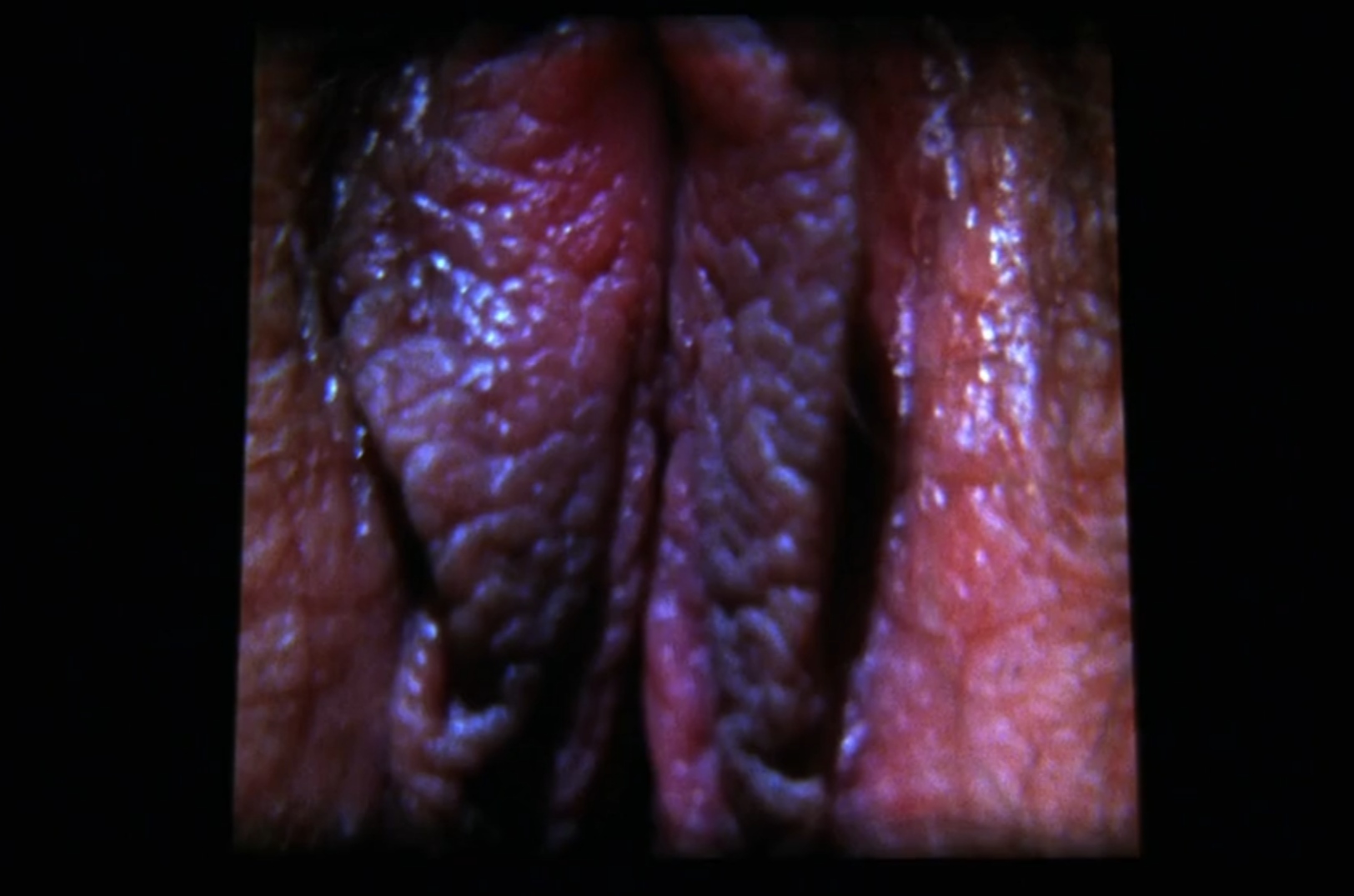 死亡实验剧照的剧照