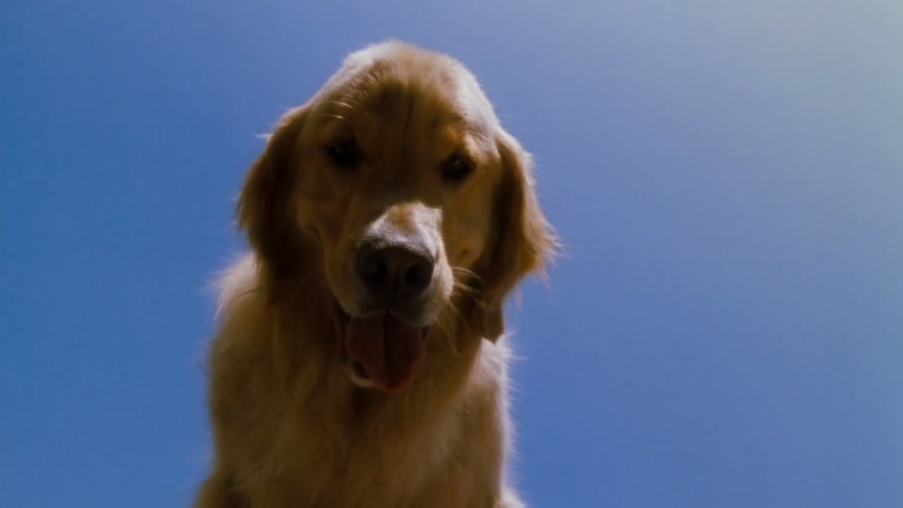 电影人生剧照的剧照