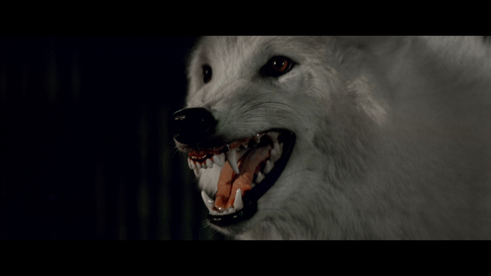 狼人就在你身边剧照的剧照