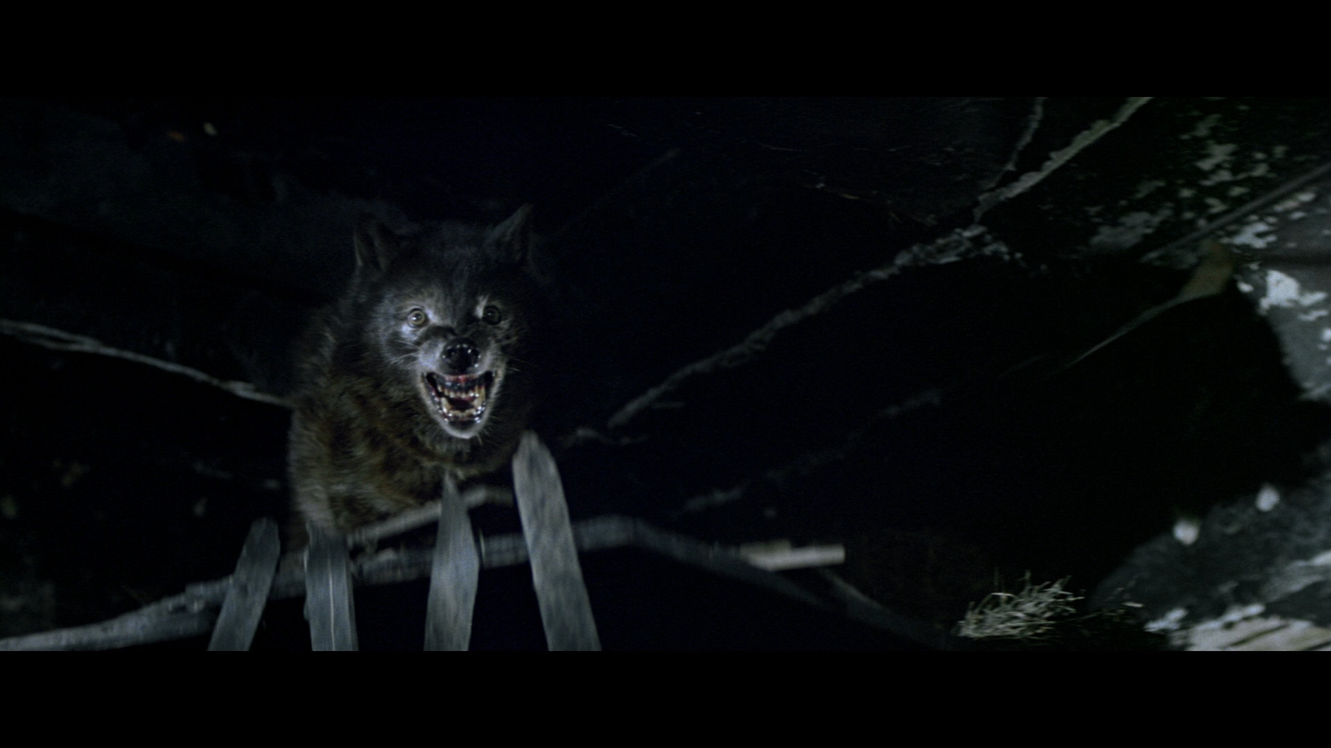 狼人就在你身边剧照的剧照