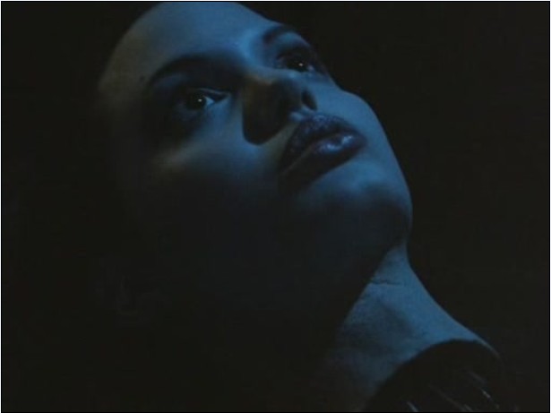 无影终结者剧照的剧照