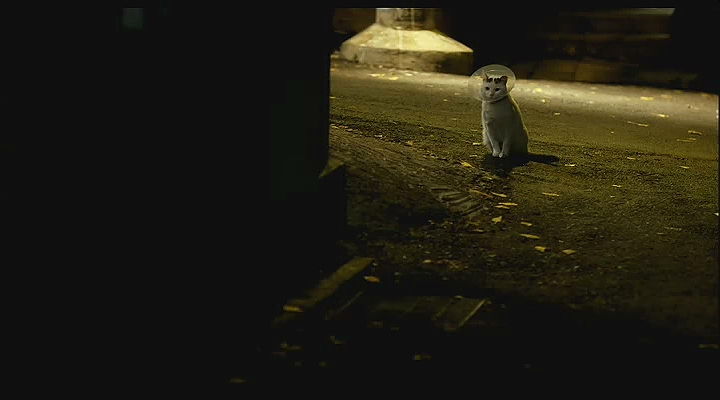 对不起，谢谢你剧照的剧照