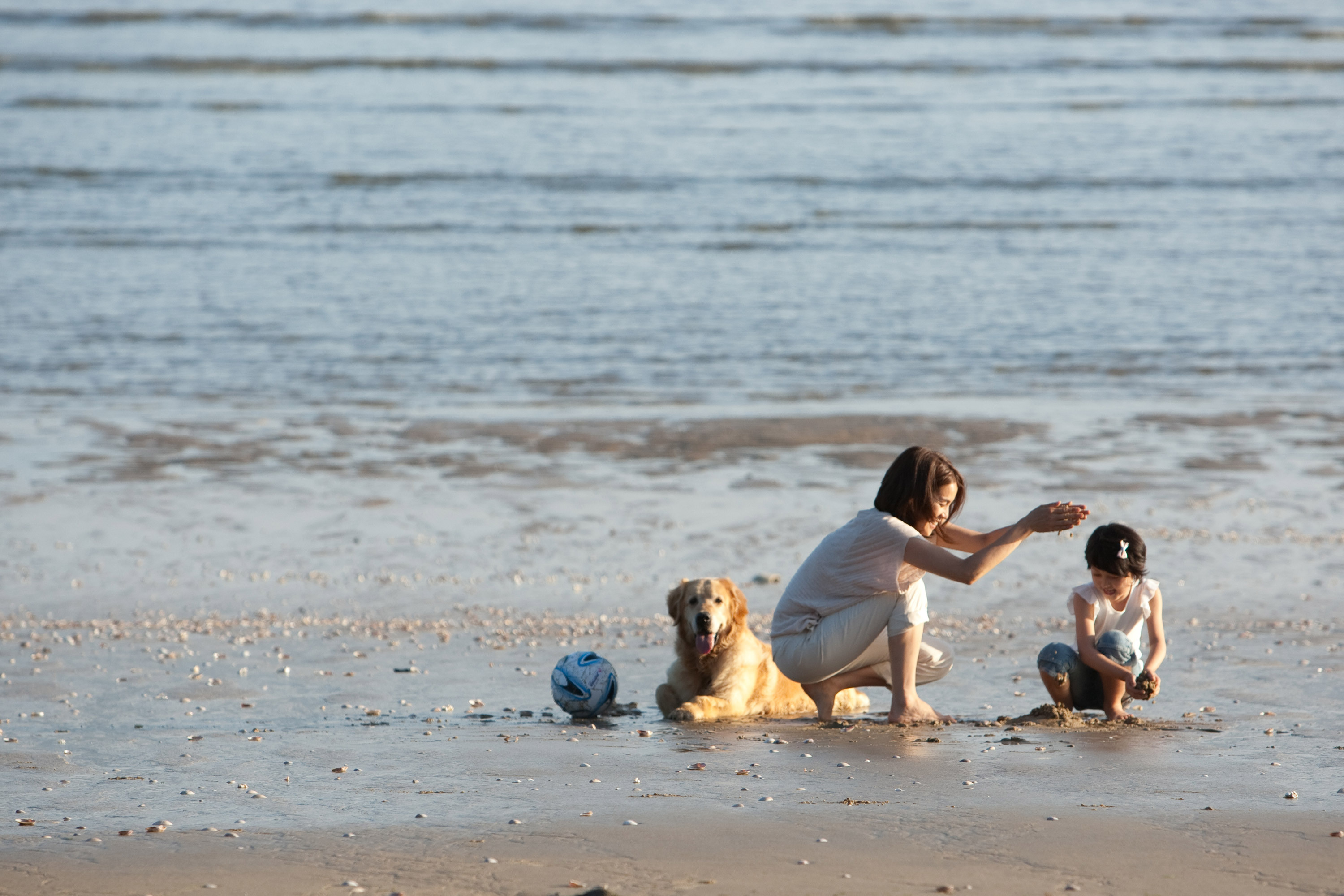 对不起，谢谢你剧照的剧照