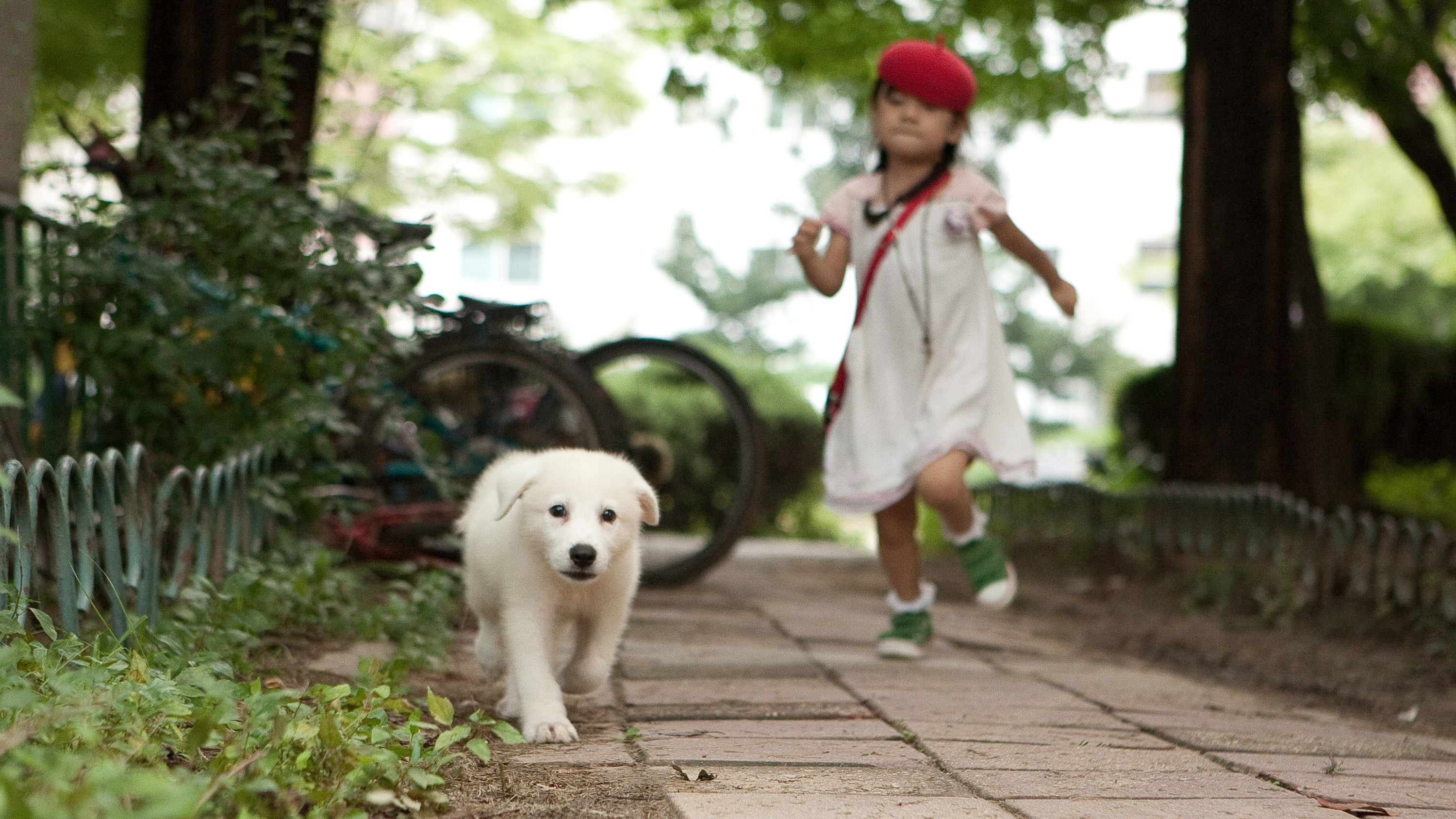 对不起，谢谢你剧照的剧照