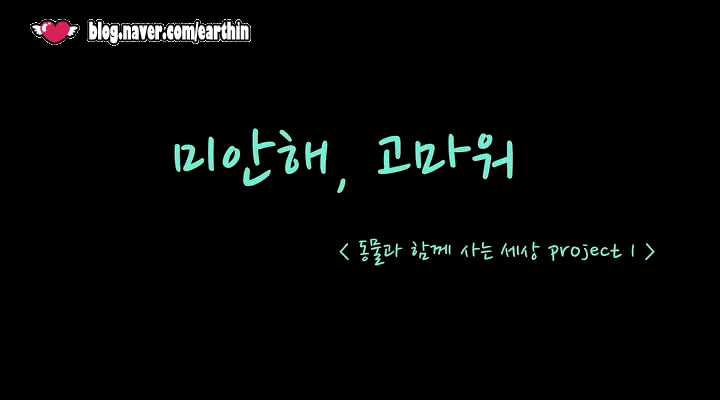 对不起，谢谢你剧照的剧照