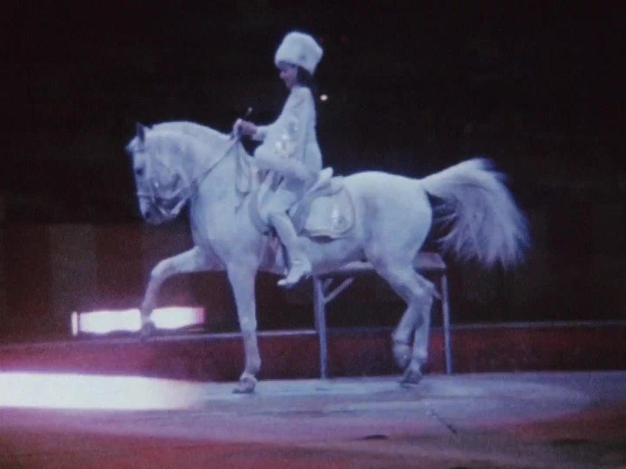 笔记·日志·素描剧照的剧照