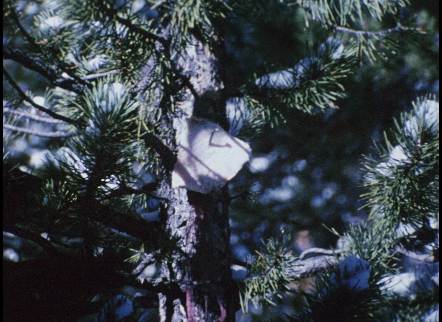 笔记·日志·素描剧照的剧照