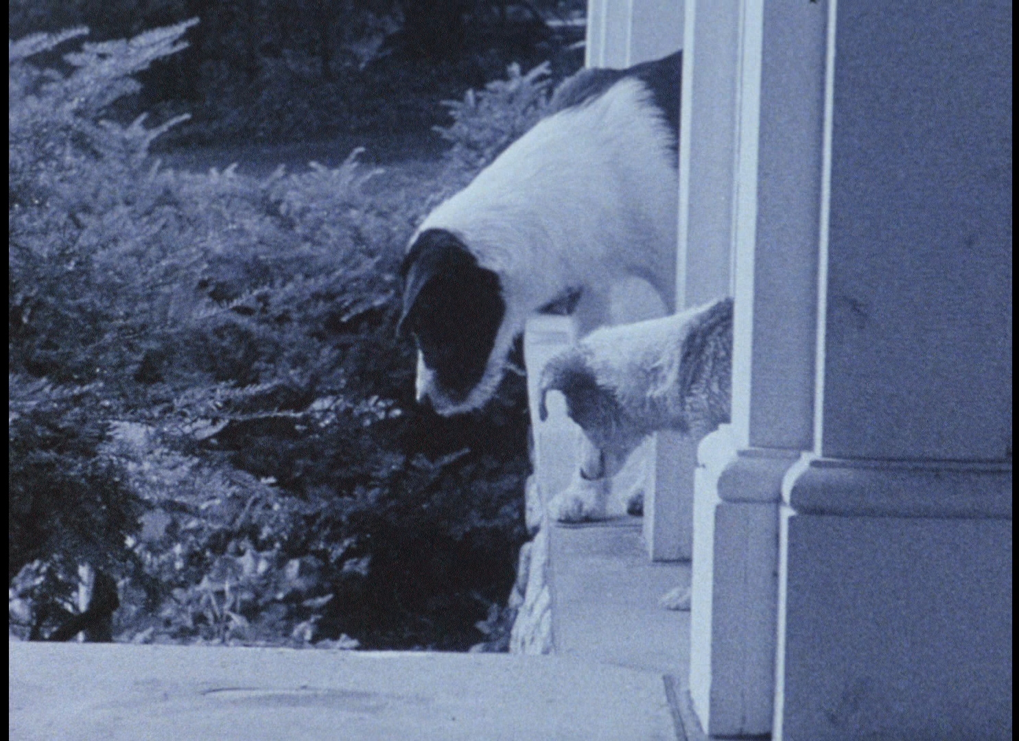 笔记·日志·素描剧照的剧照