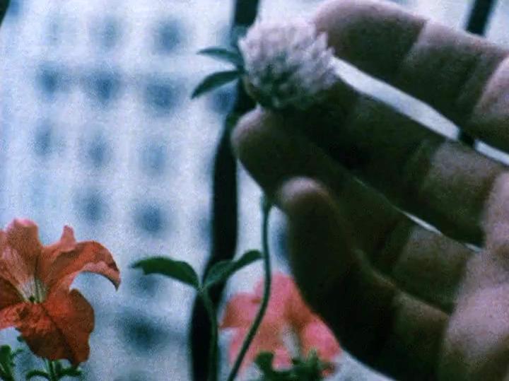 笔记·日志·素描剧照的剧照