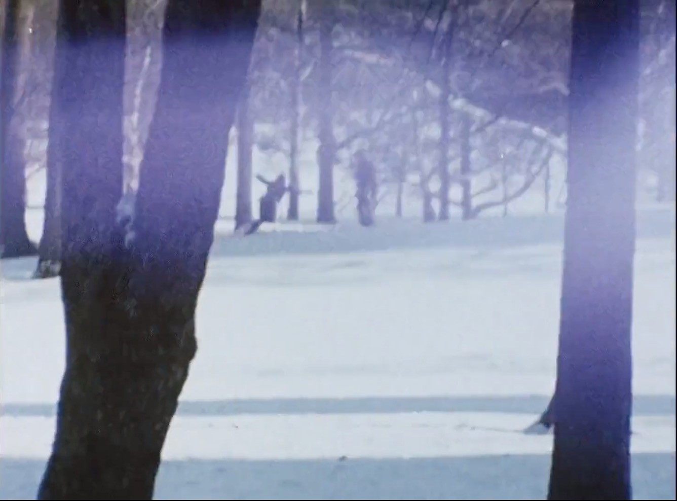 笔记·日志·素描剧照的剧照