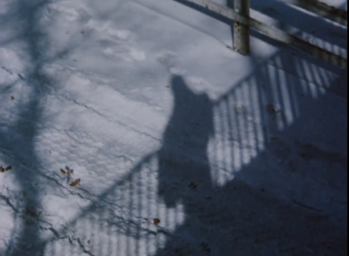 笔记·日志·素描剧照的剧照