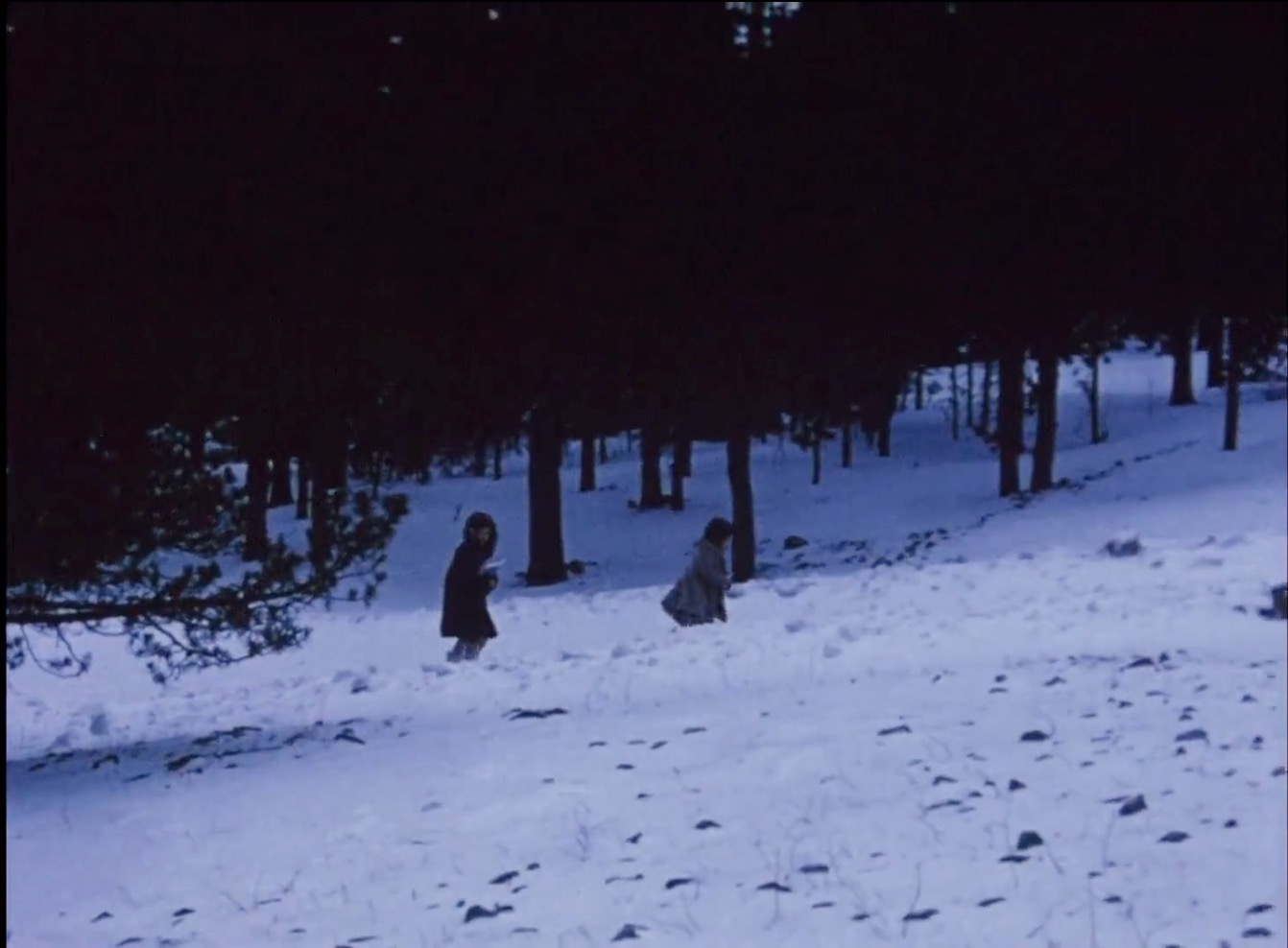 笔记·日志·素描剧照的剧照