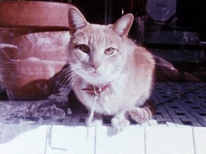 笔记·日志·素描剧照的剧照