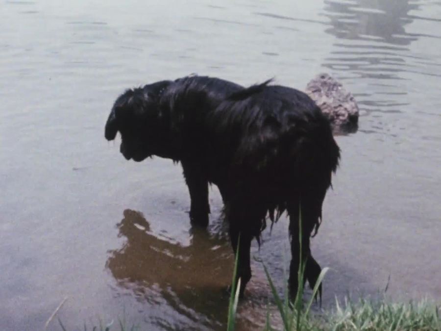 笔记·日志·素描剧照的剧照